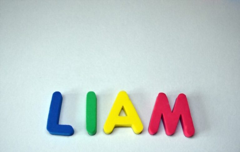 liam-name-meaning-strong-willed-warrior-an-everyday-story