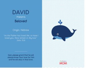 son of david name meaning